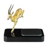 JUMPING GAZELLE